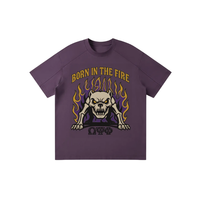 ΩΨΦ Born In The Fire Raglan Tee